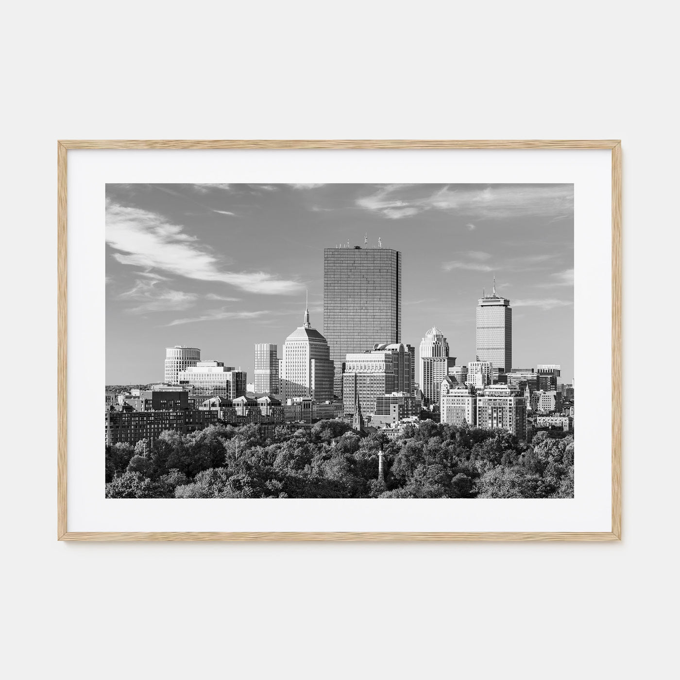 Boston Landscape B&W No 1 Poster