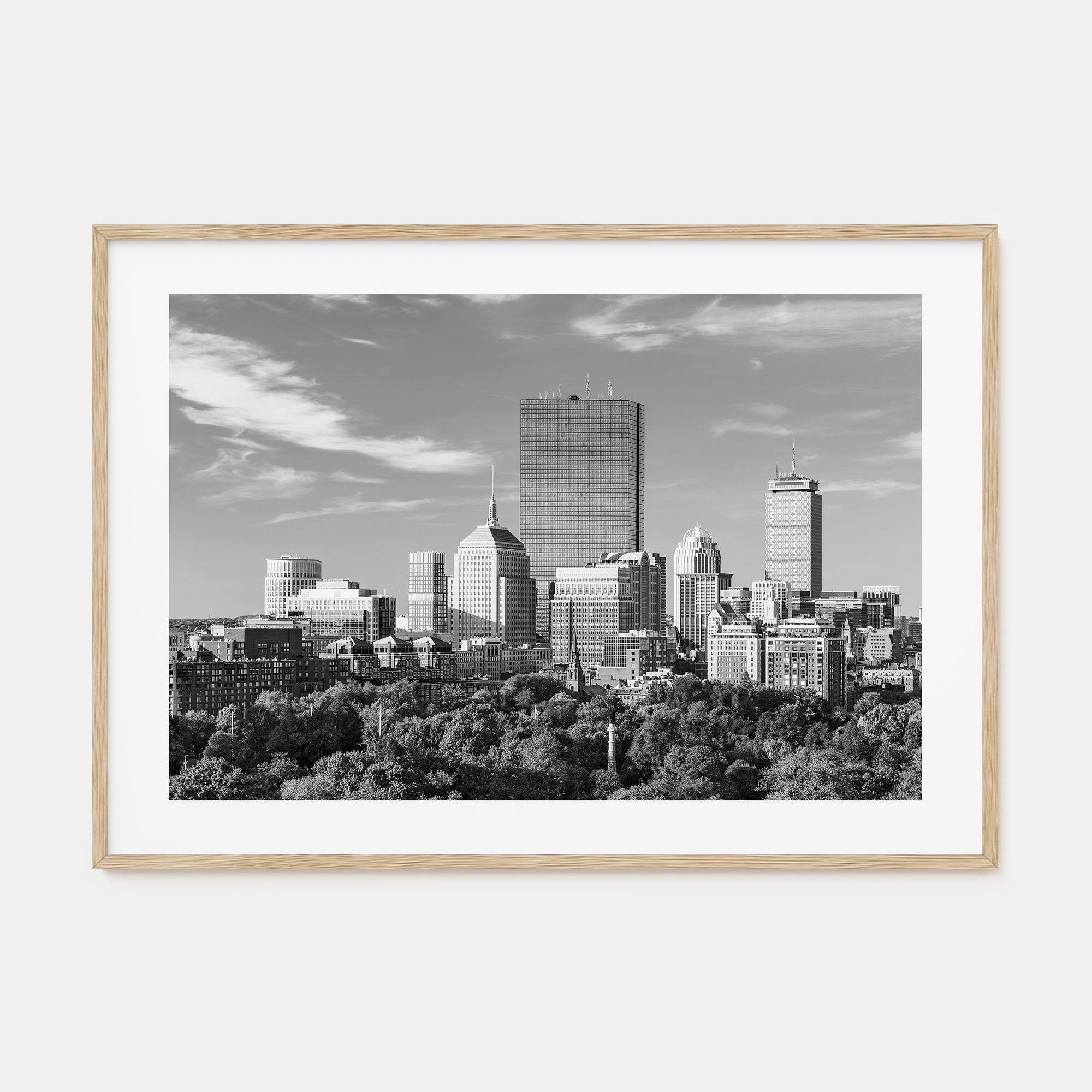 Boston Landscape B&W No 1 Poster