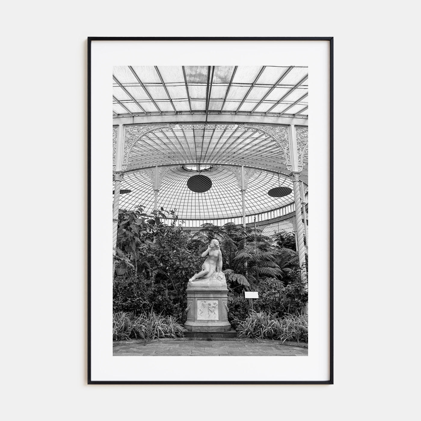 Botanical Garden Photo B&W No 1 Poster