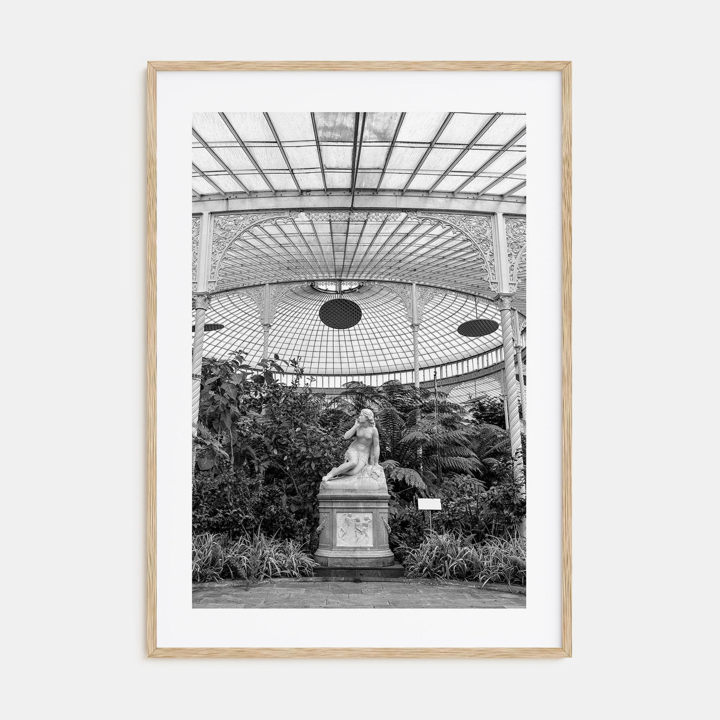 Botanical Garden Photo B&W No 1 Poster