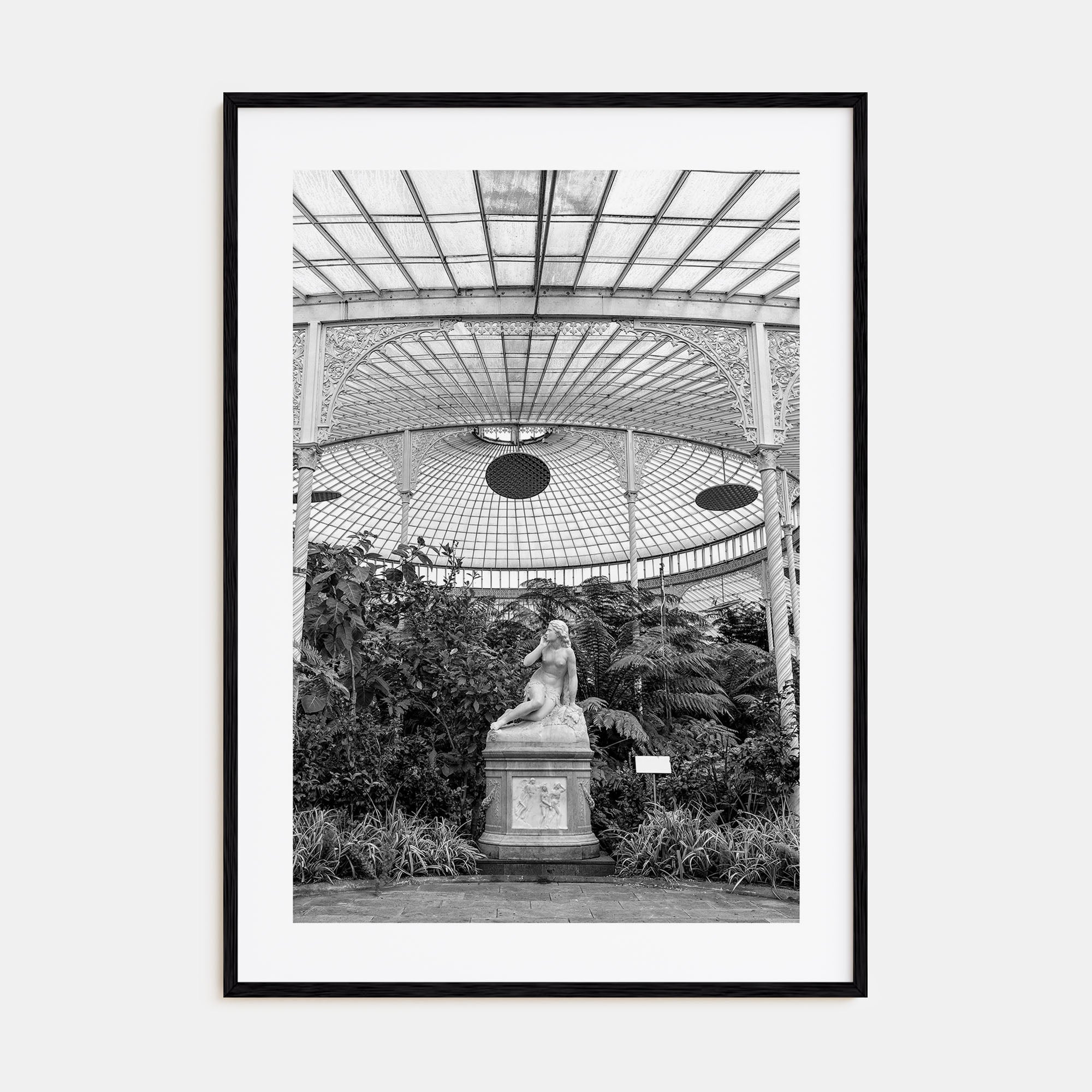 Botanical Garden Photo B&W No 1 Poster