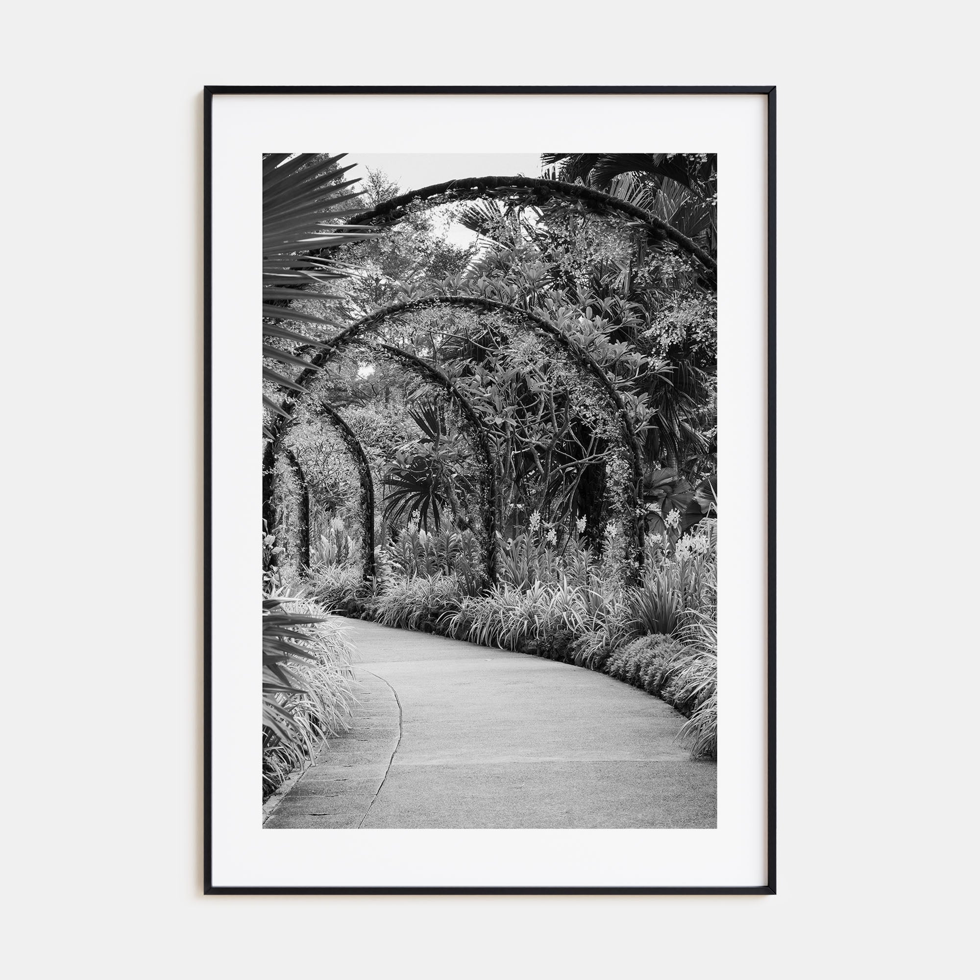 Botanical Garden Photo B&W No 2 Poster