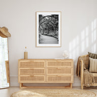 Botanical Garden Photo B&W No 2 Poster