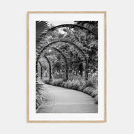 Botanical Garden Photo B&W No 2 Poster