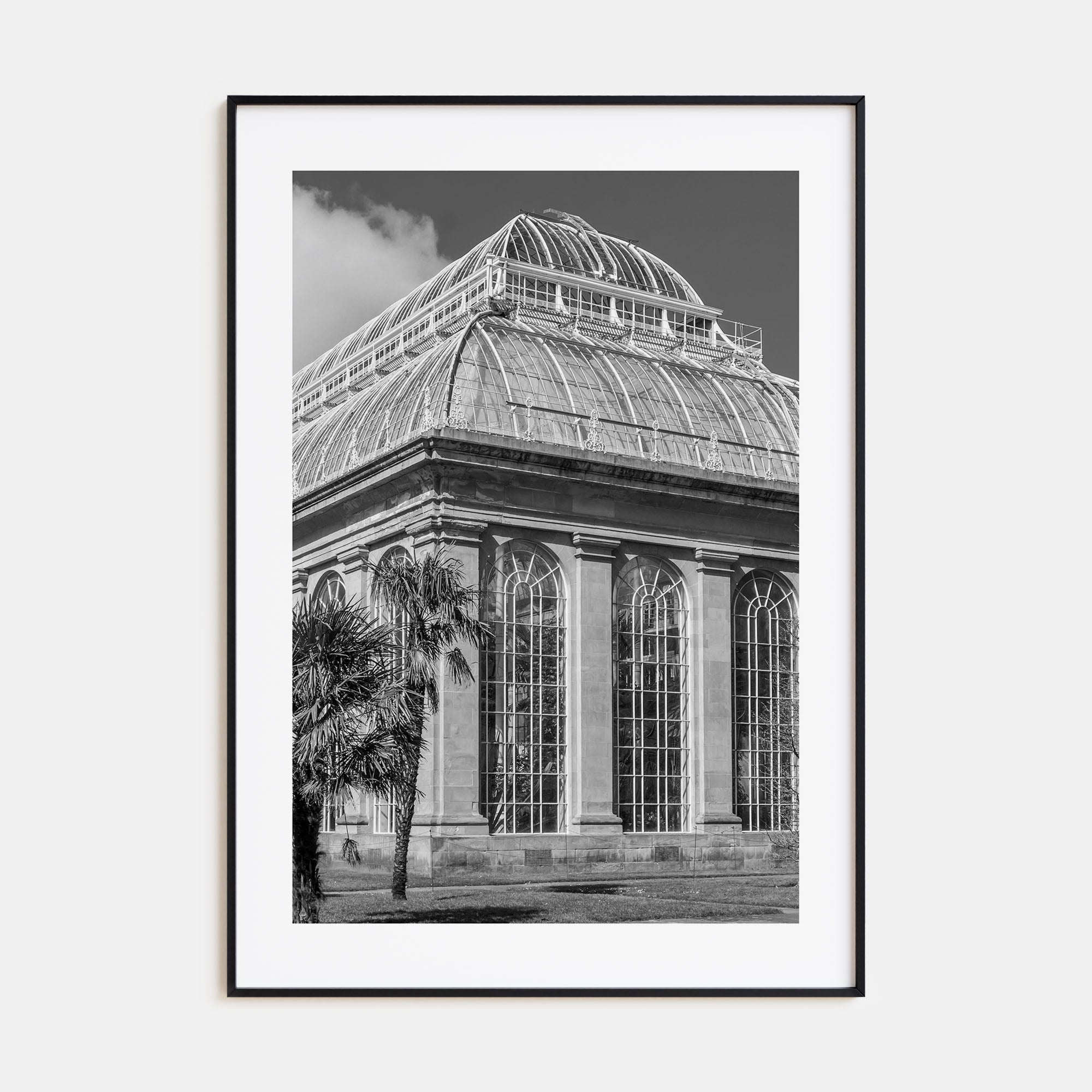 Botanical Garden Photo B&W No 3 Poster