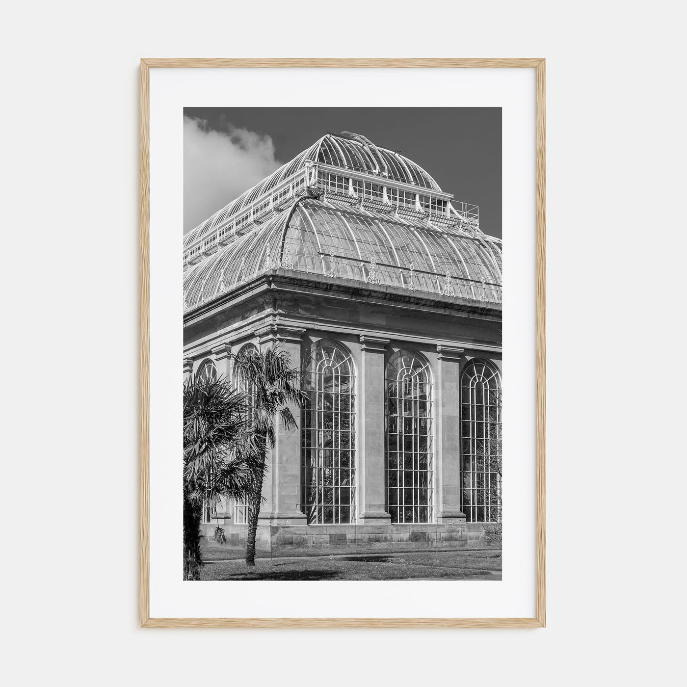 Botanical Garden Photo B&W No 3 Poster