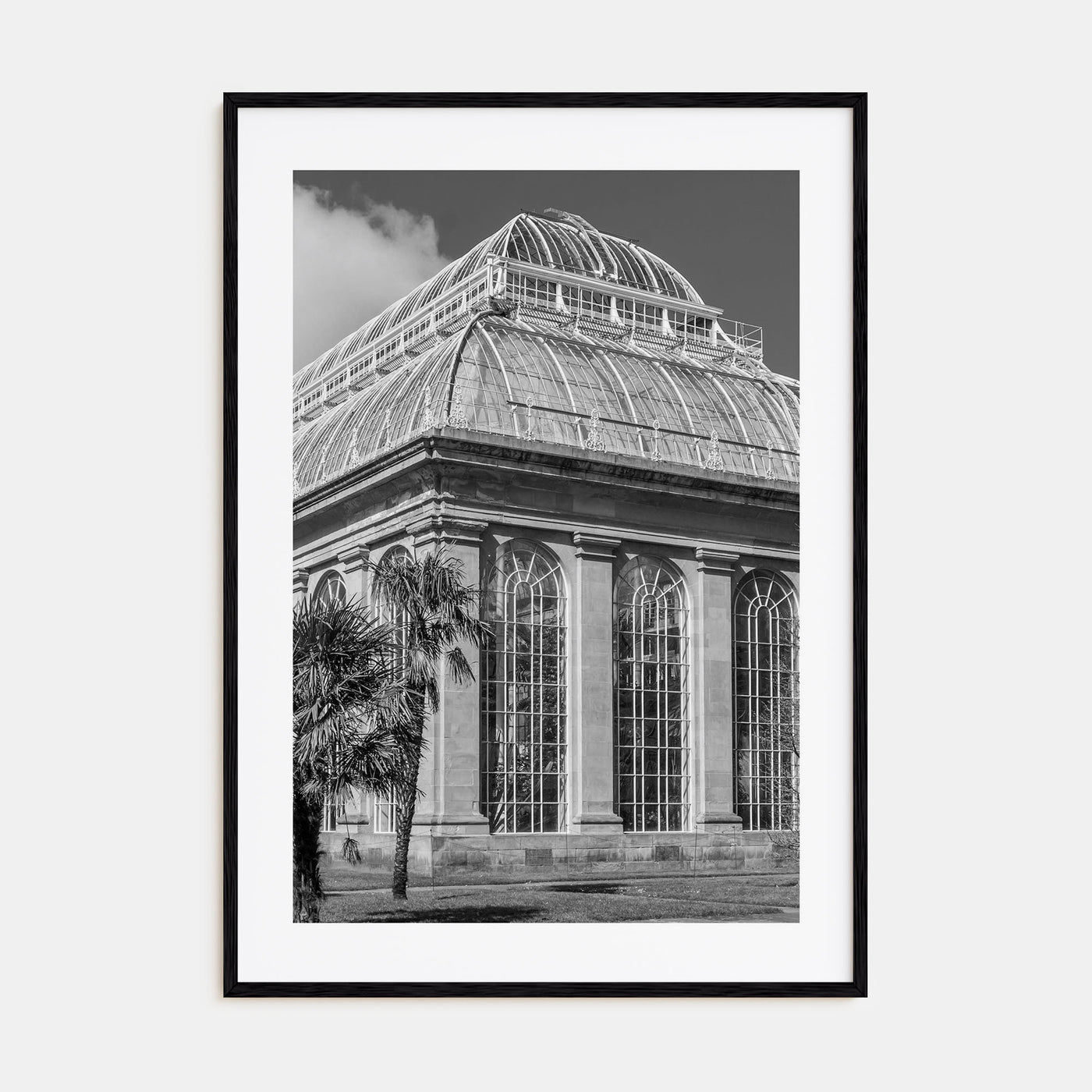 Botanical Garden Photo B&W No 3 Poster