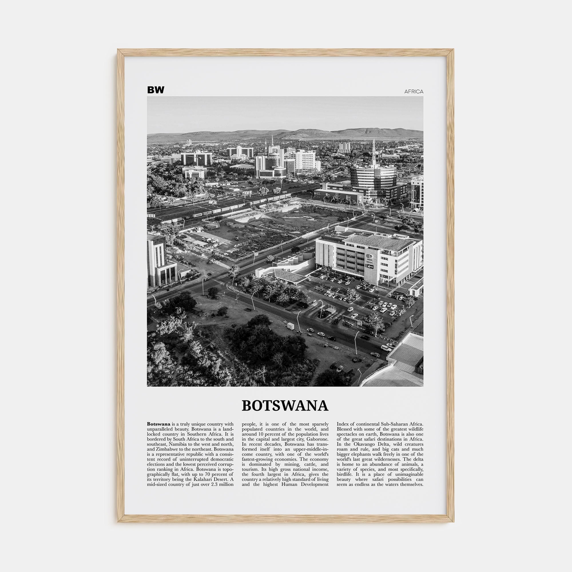 Botswana Travel B&W Poster