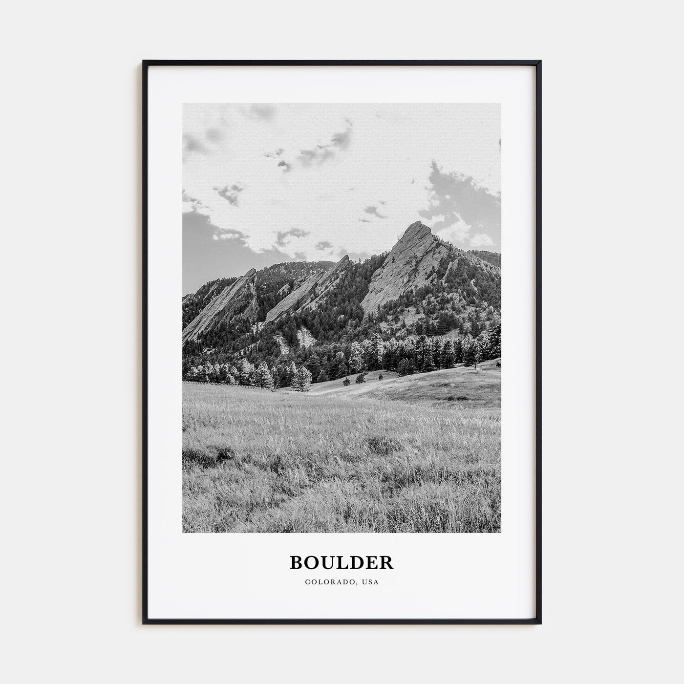 Boulder Portrait B&W No 1 Poster