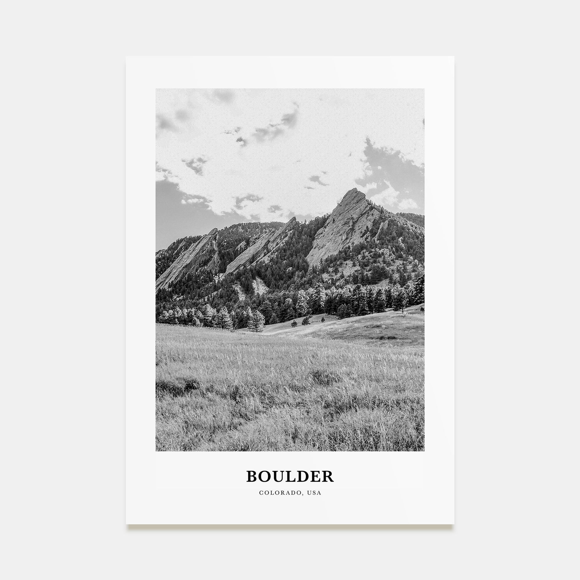 Boulder Portrait B&W No 1 Poster