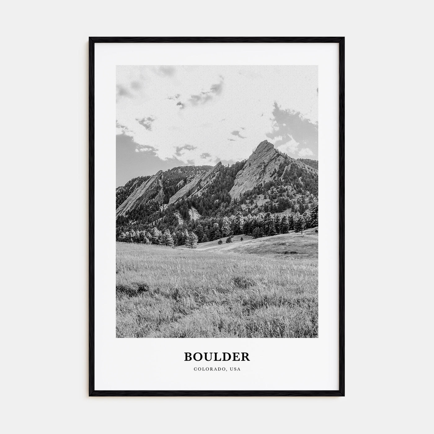 Boulder Portrait B&W No 1 Poster