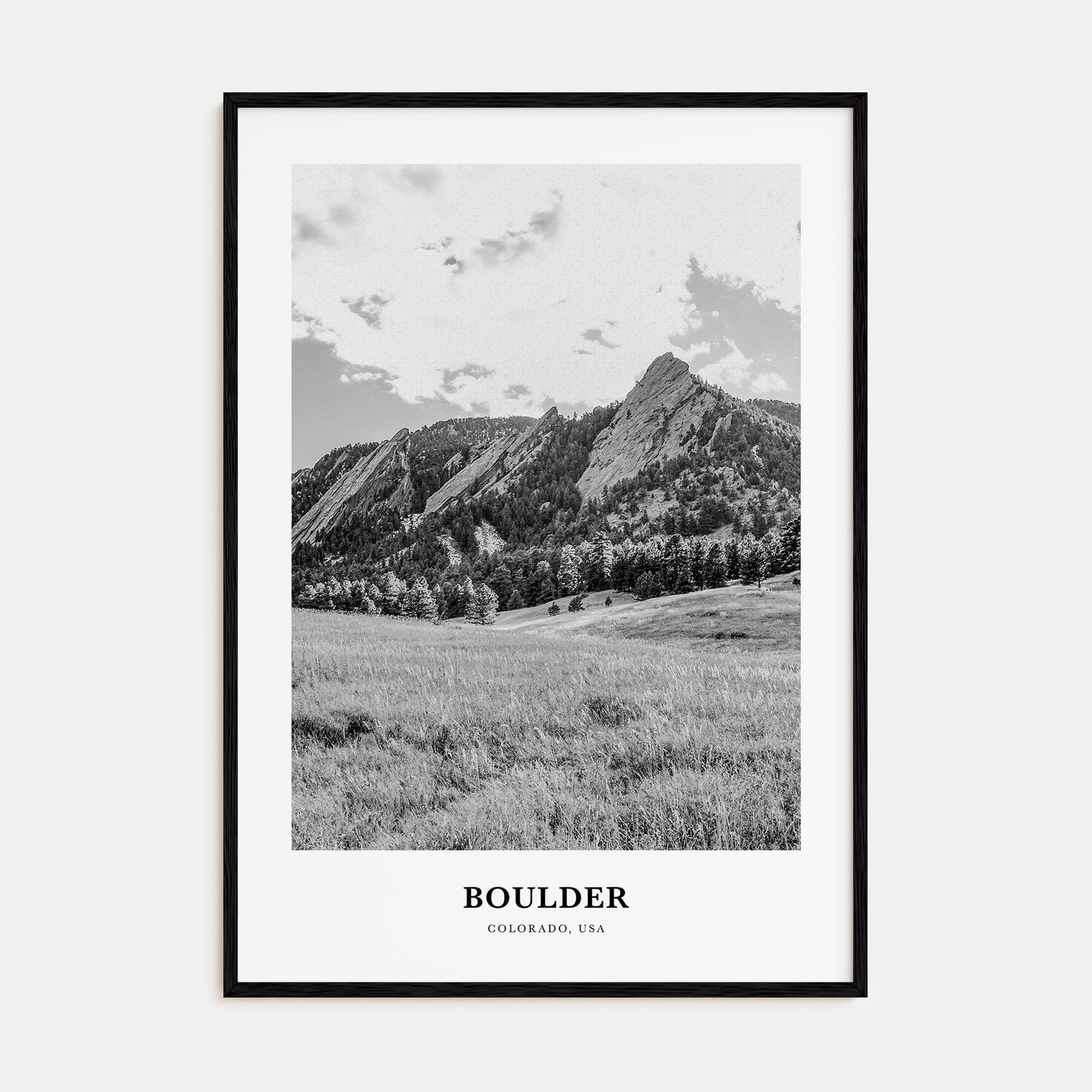 Boulder Portrait B&W No 1 Poster