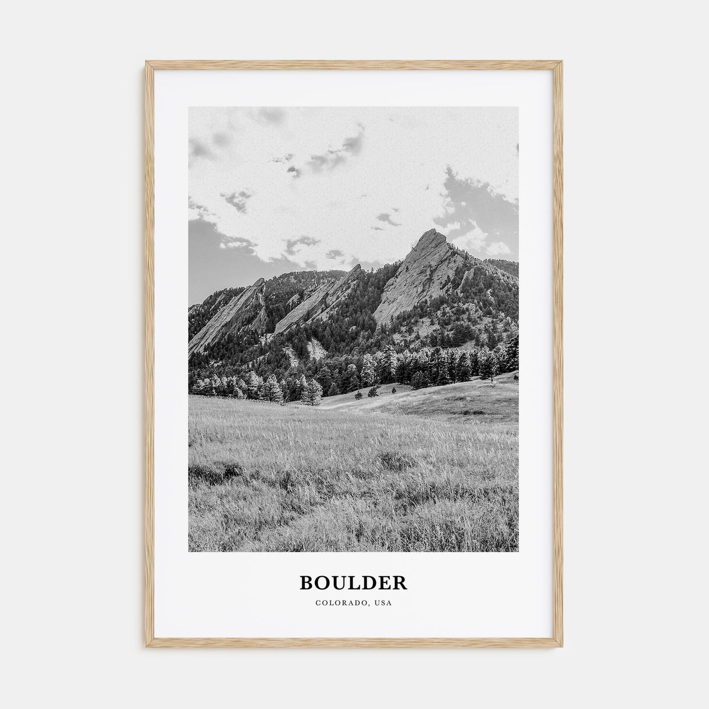 Boulder Portrait B&W No 1 Poster