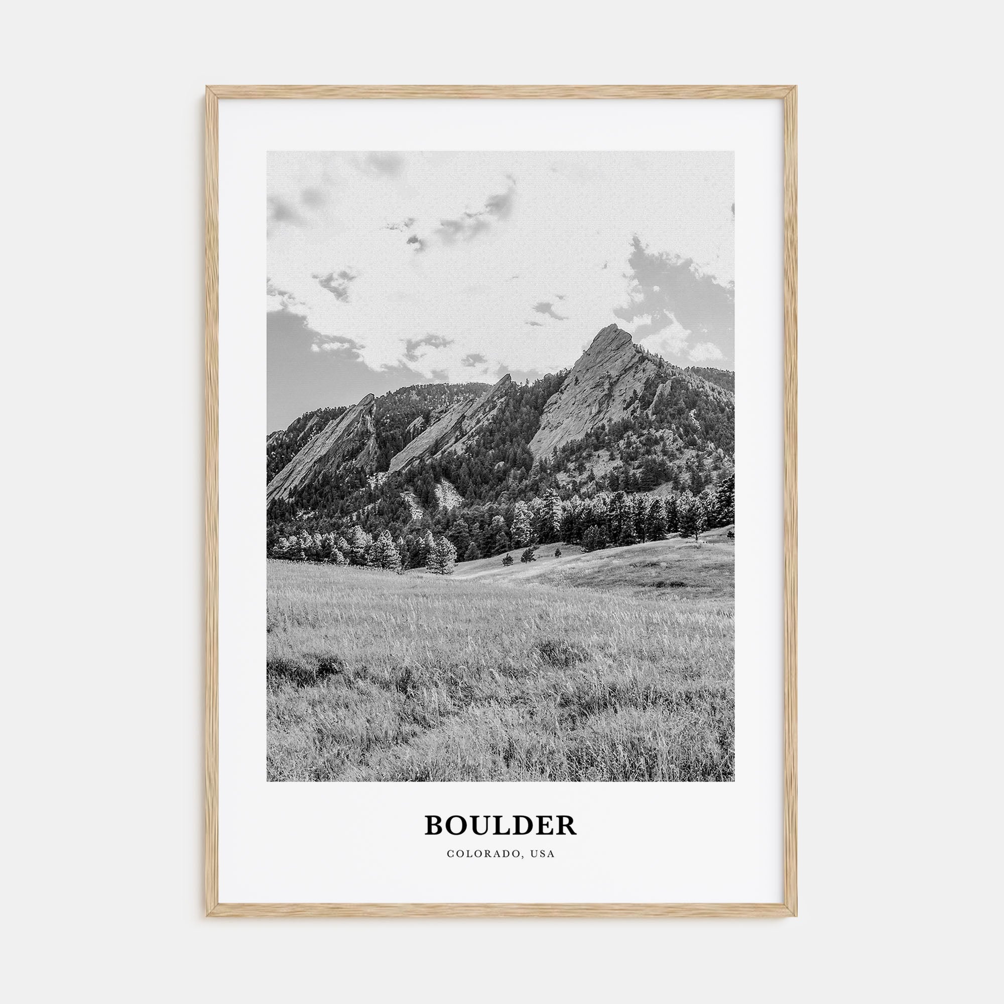 Boulder Portrait B&W No 1 Poster