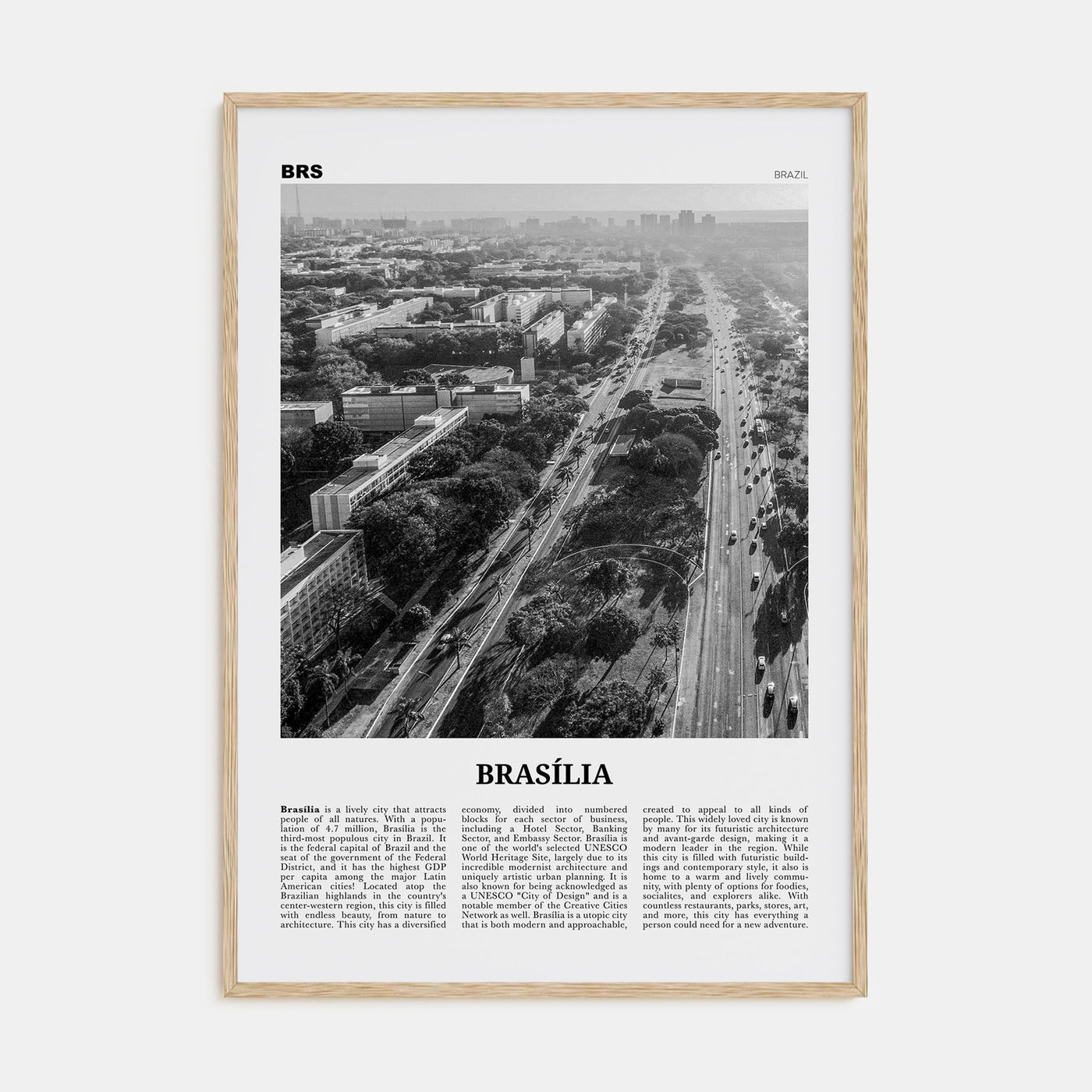 Brasília Travel B&W No 1 Poster