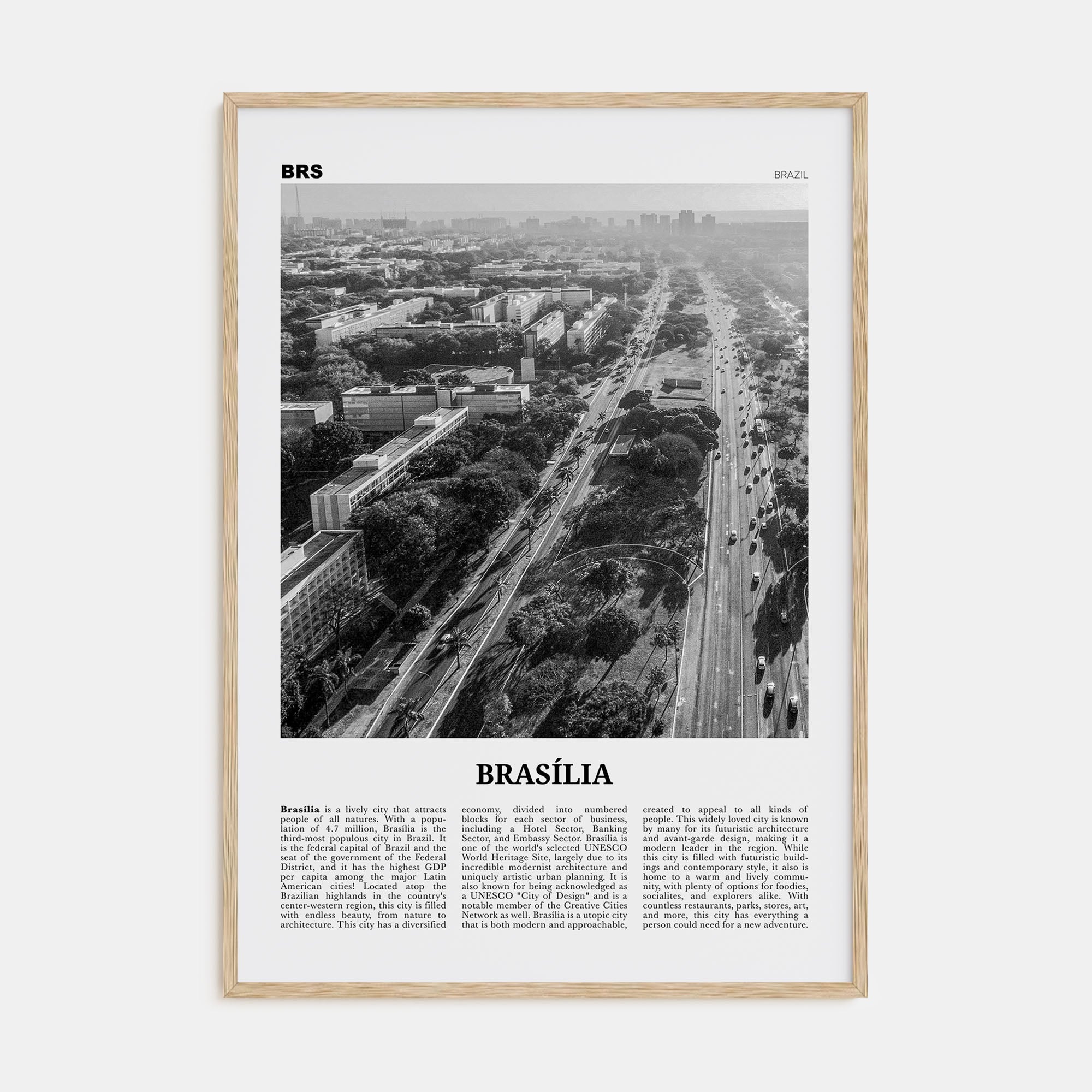 Brasília Travel B&W No 1 Poster