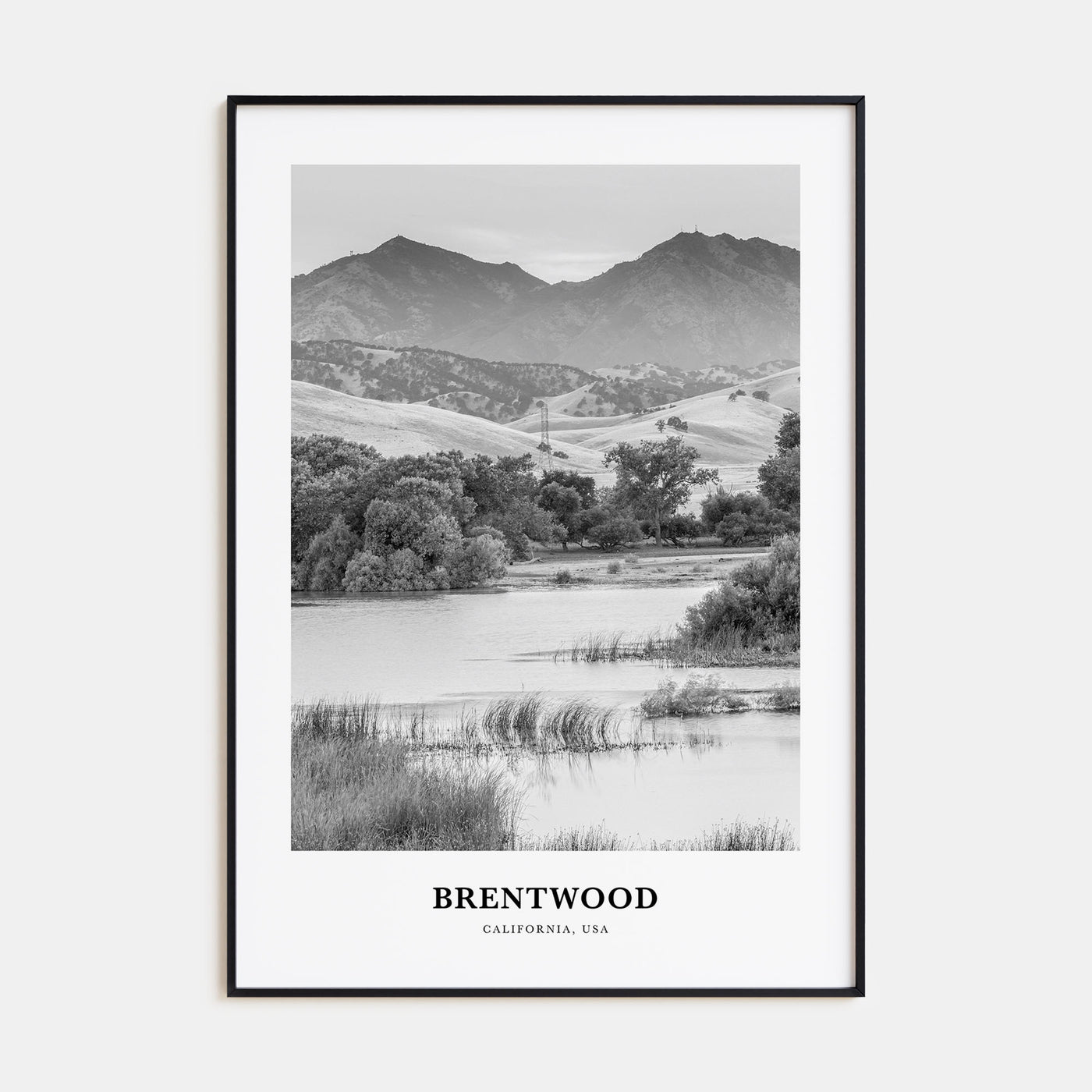 Brentwood Portrait B&W Poster