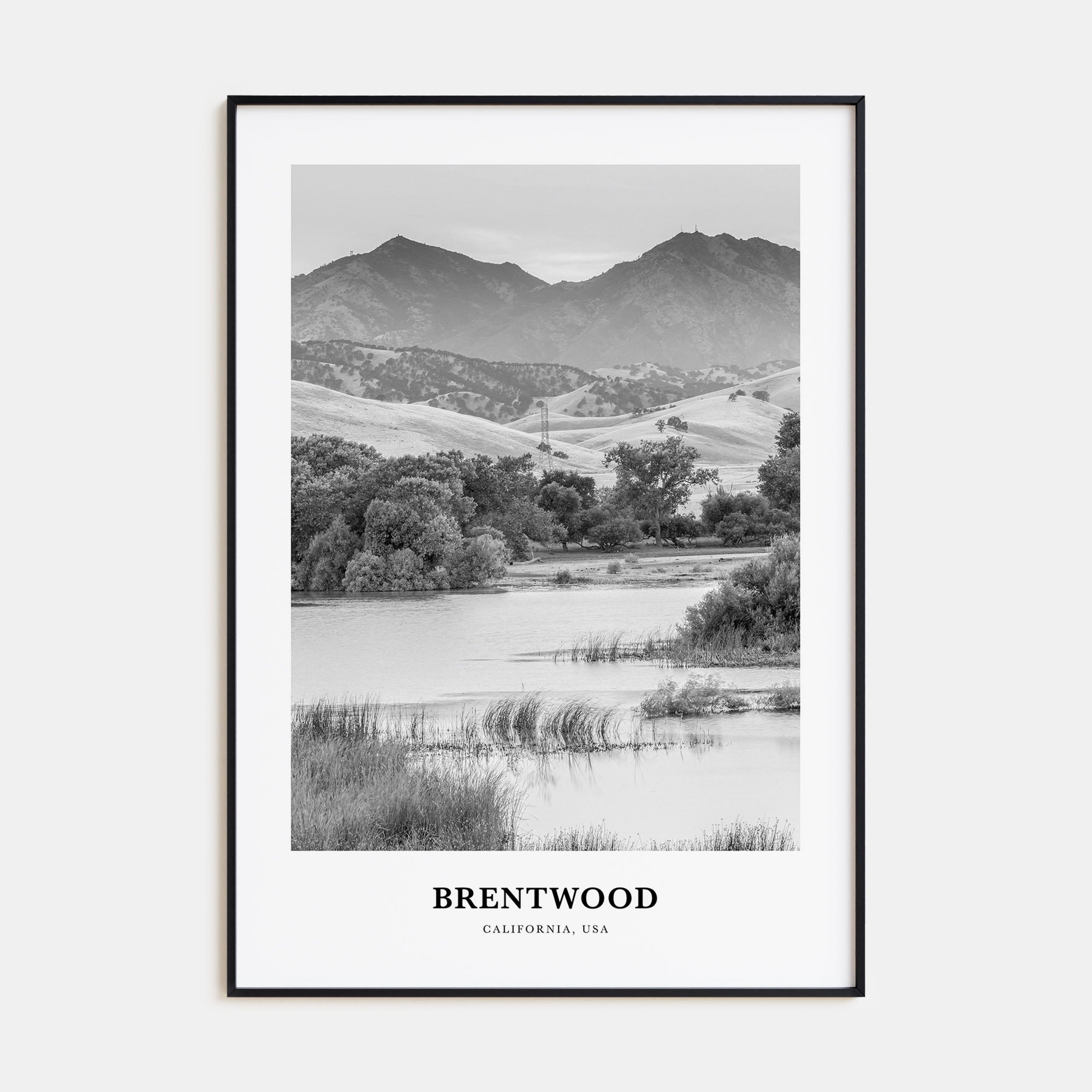 Brentwood Portrait B&W Poster