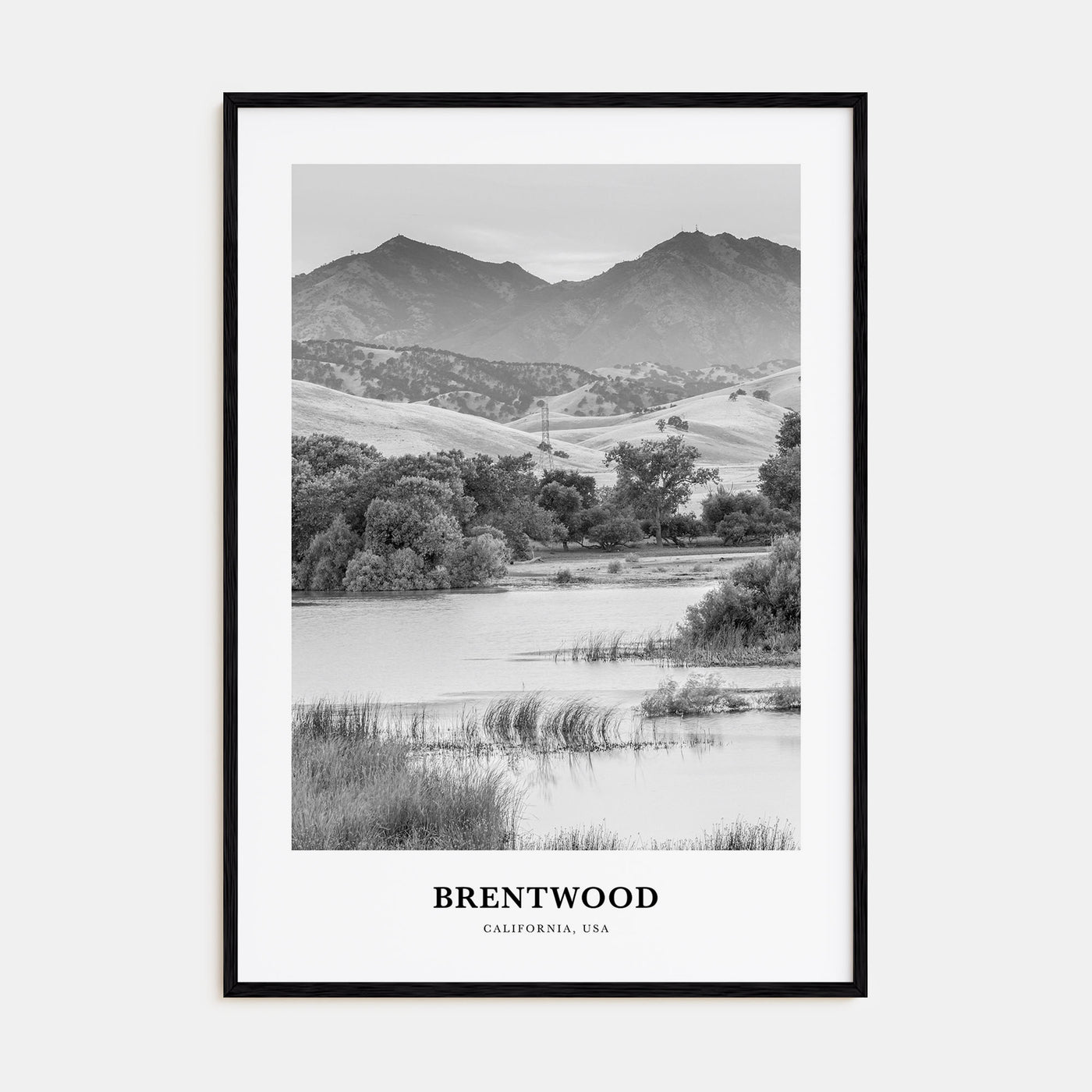 Brentwood Portrait B&W Poster