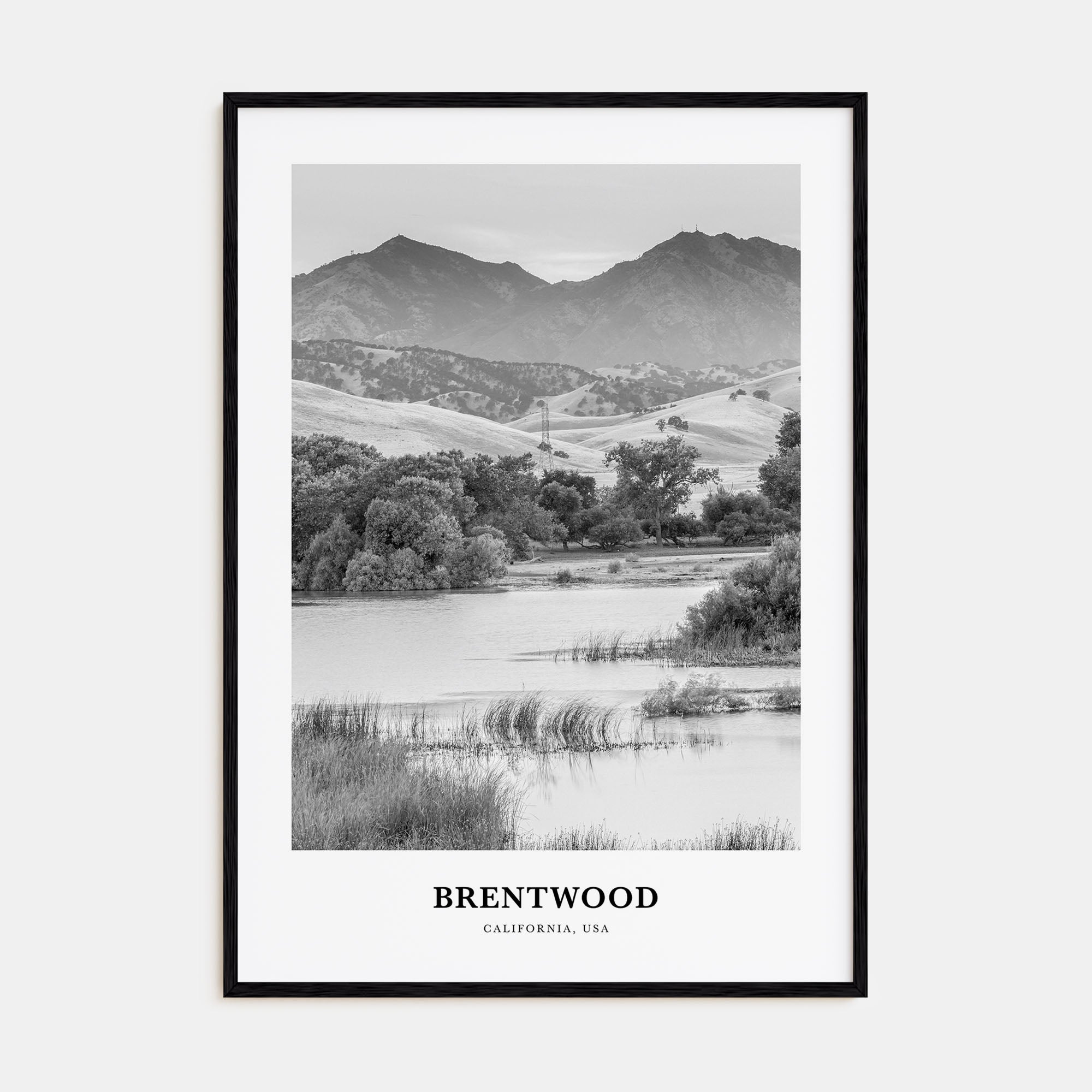 Brentwood Portrait B&W Poster