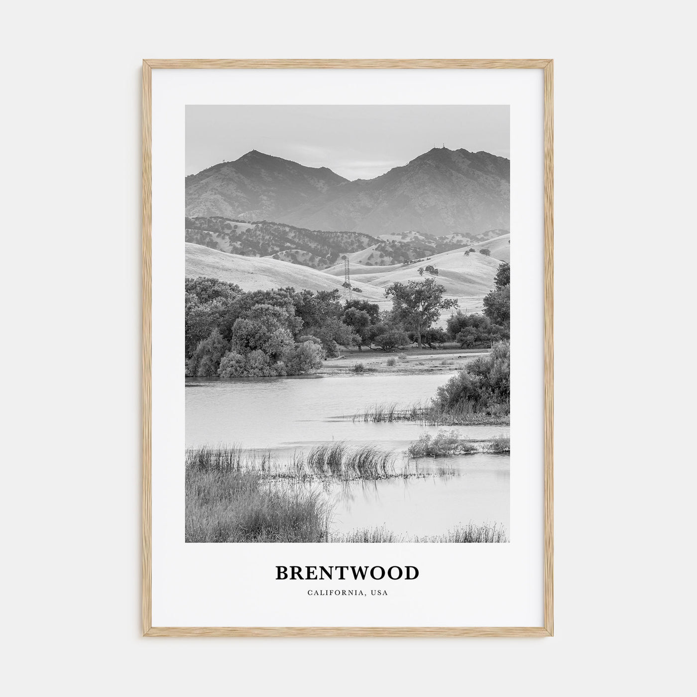 Brentwood Portrait B&W Poster