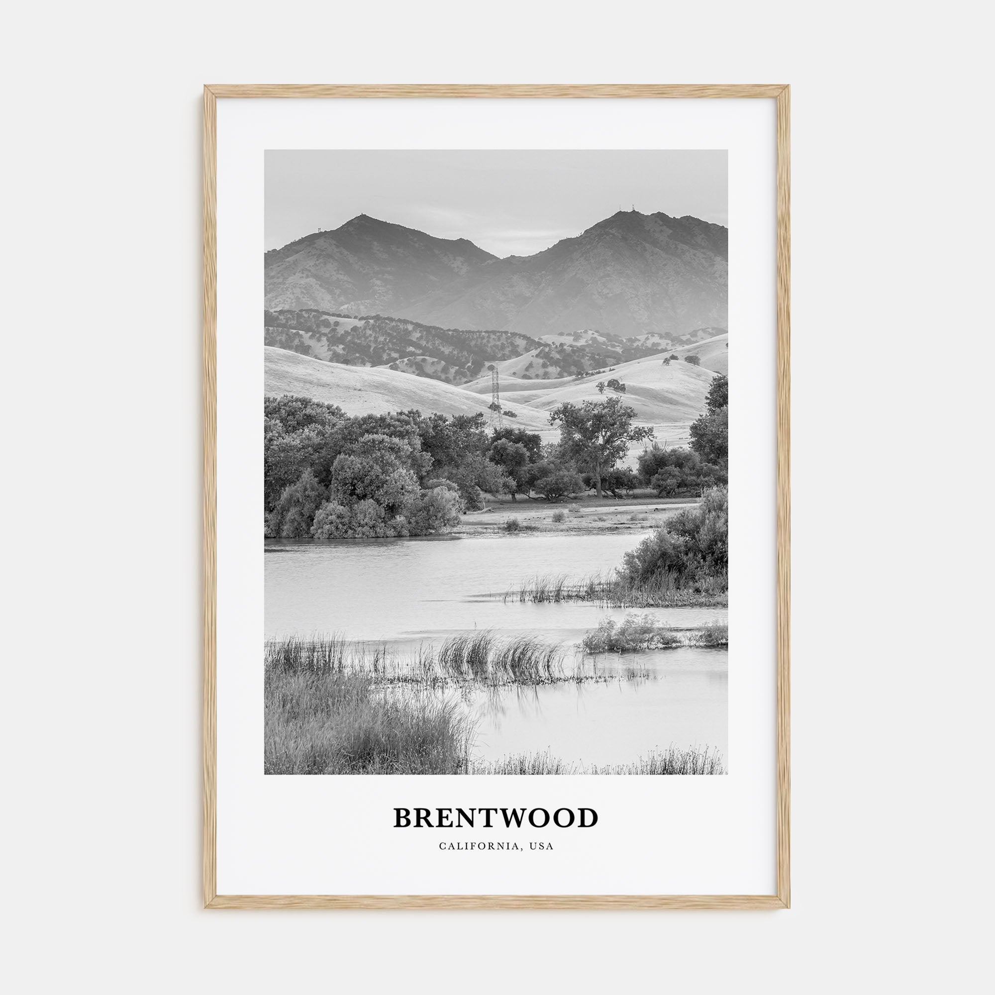 Brentwood Portrait B&W Poster