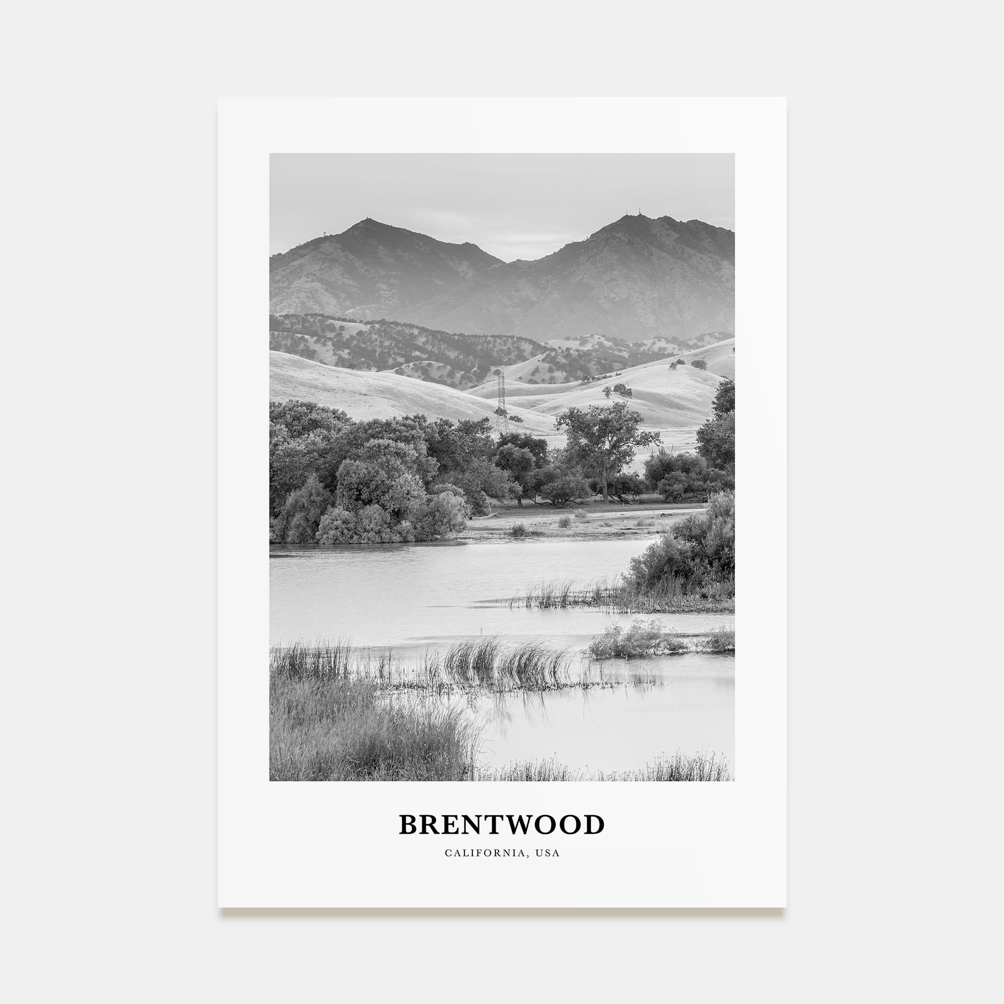 Brentwood Portrait B&W Poster