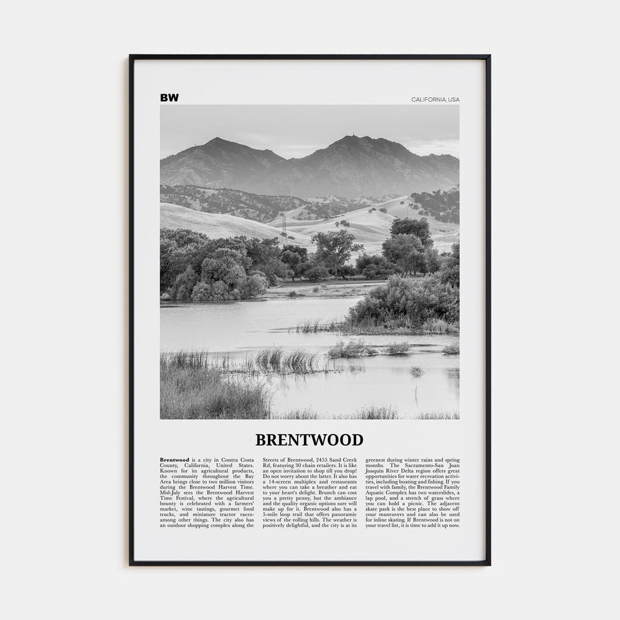 Brentwood Travel B&W Poster