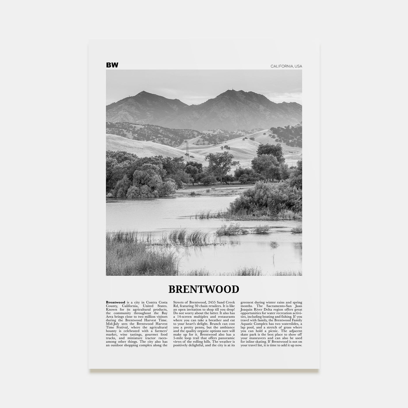 Brentwood Travel B&W Poster