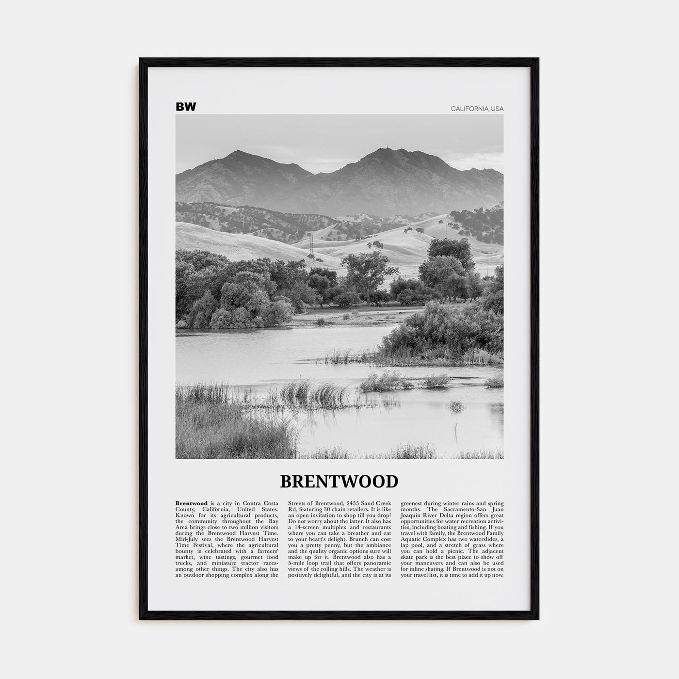 Brentwood Travel B&W Poster