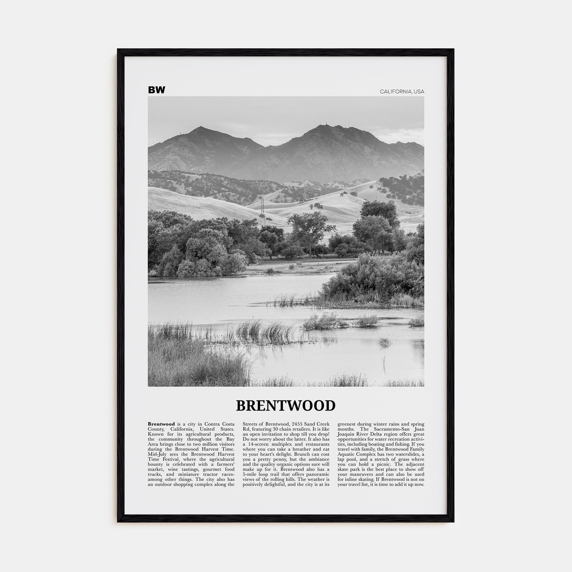 Brentwood Travel B&W Poster