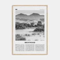 Brentwood Travel B&W Poster