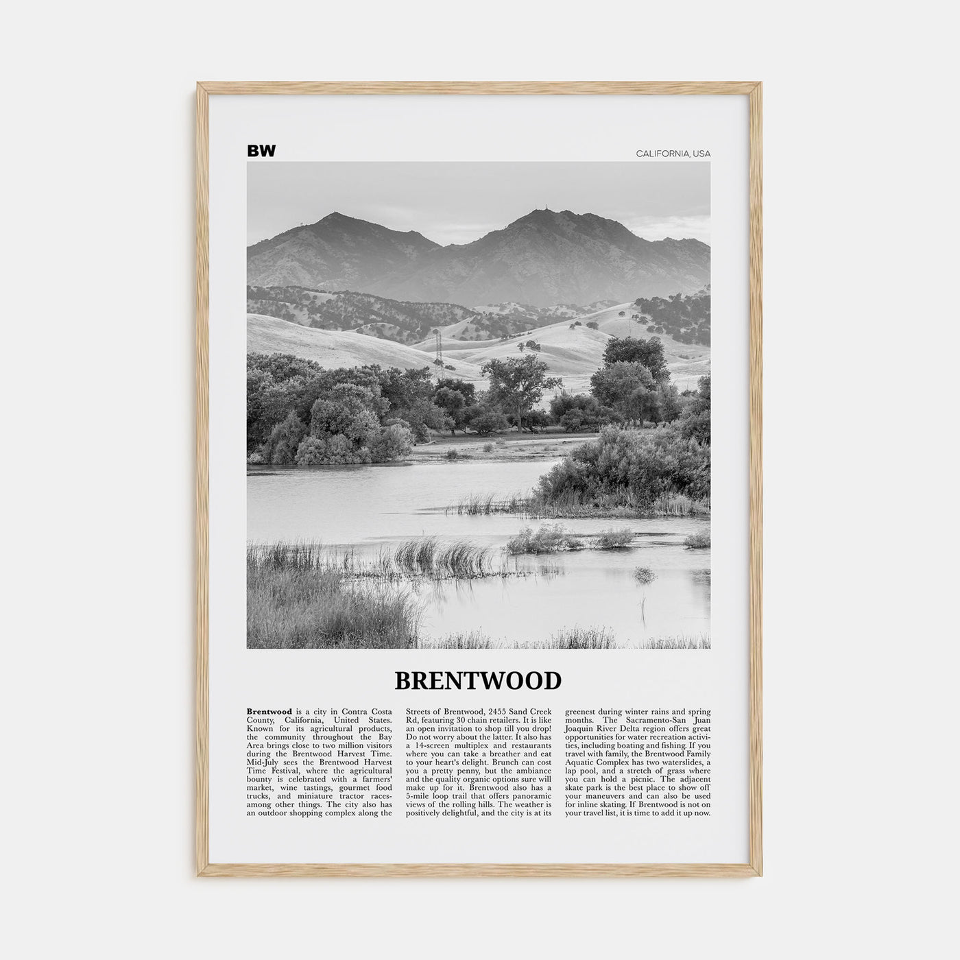 Brentwood Travel B&W Poster