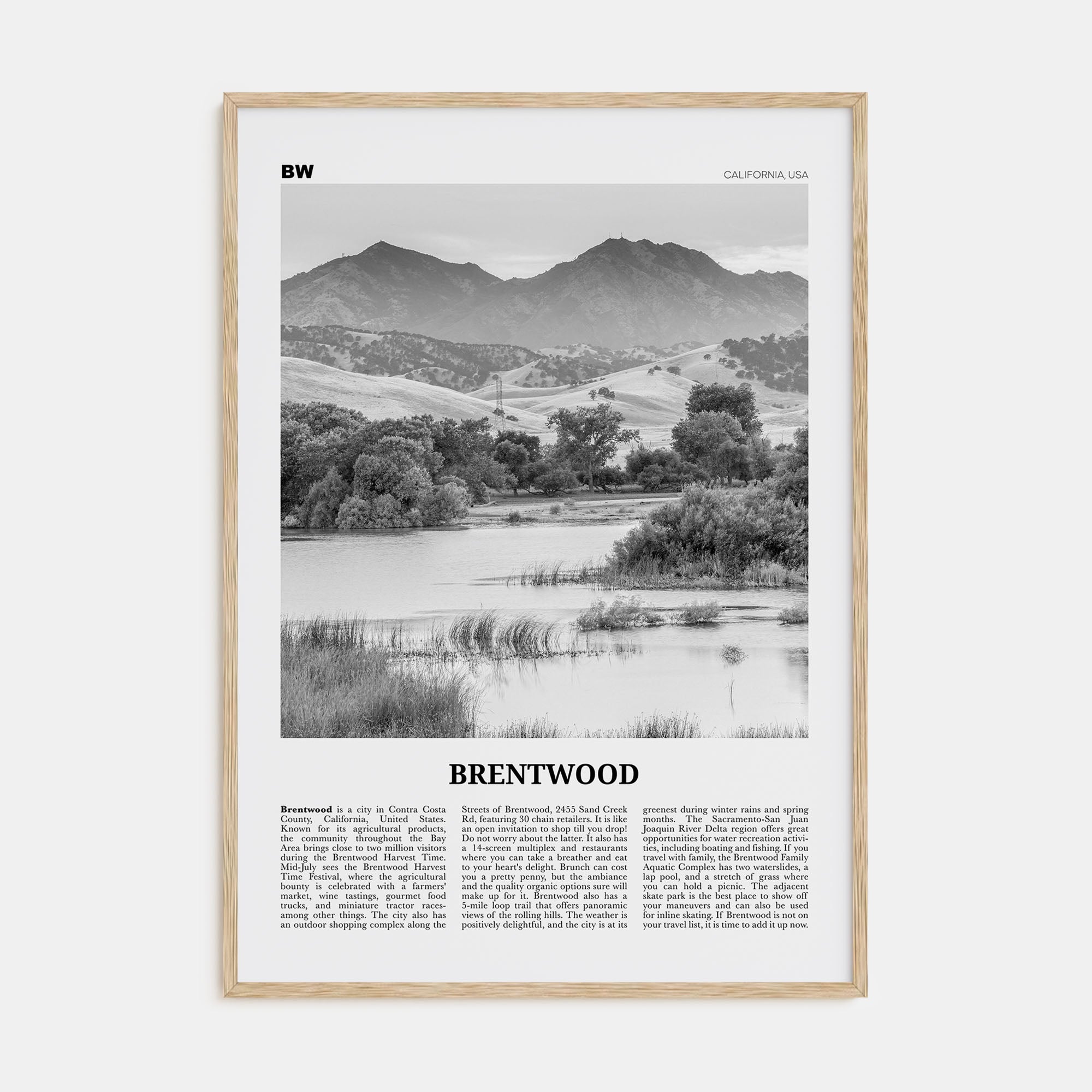 Brentwood Travel B&W Poster