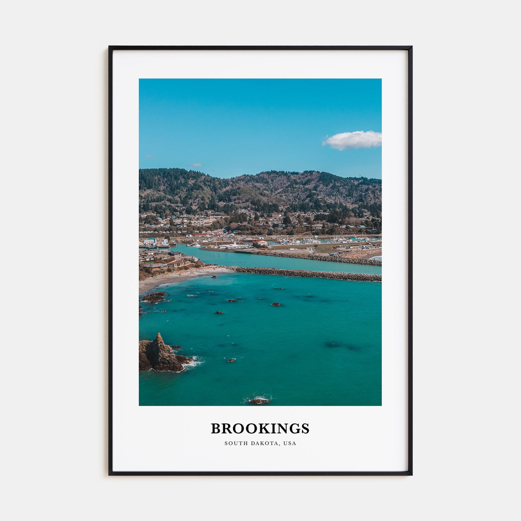 Brookings Portrait Color Poster
