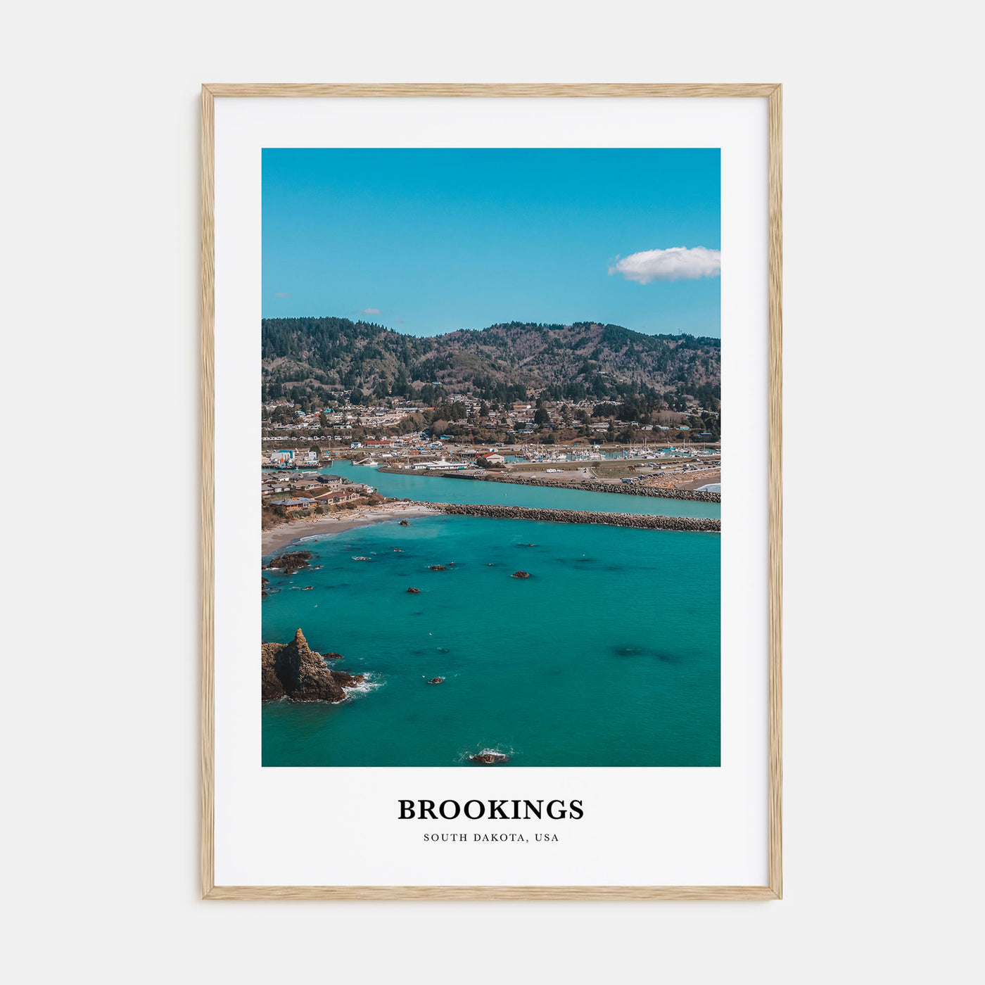 Brookings Portrait Color Poster