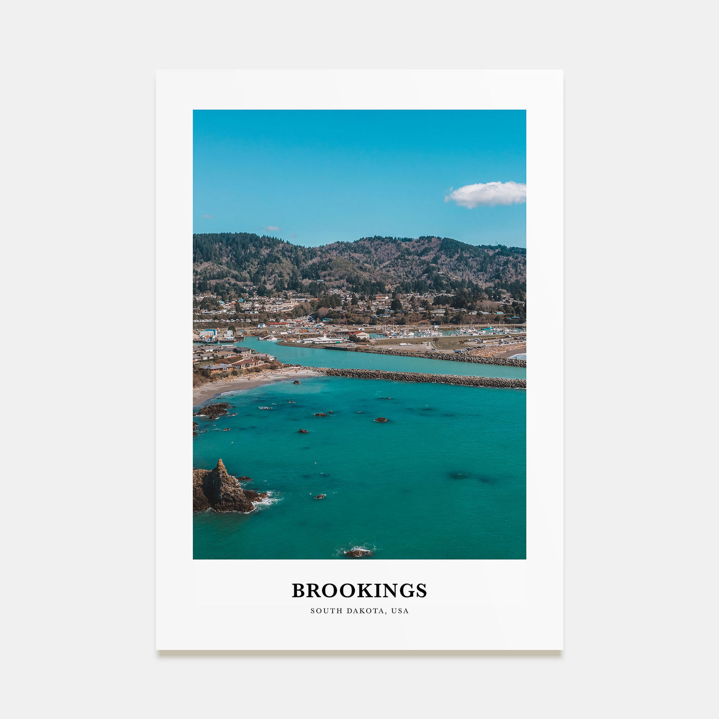 Brookings Portrait Color Poster