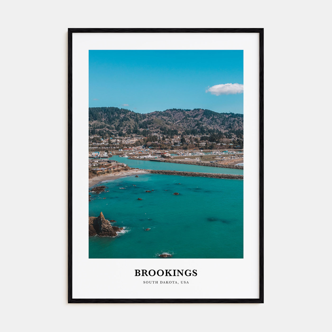Brookings Portrait Color Poster