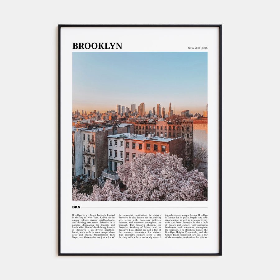 Brooklyn Travel Color No 3 Poster