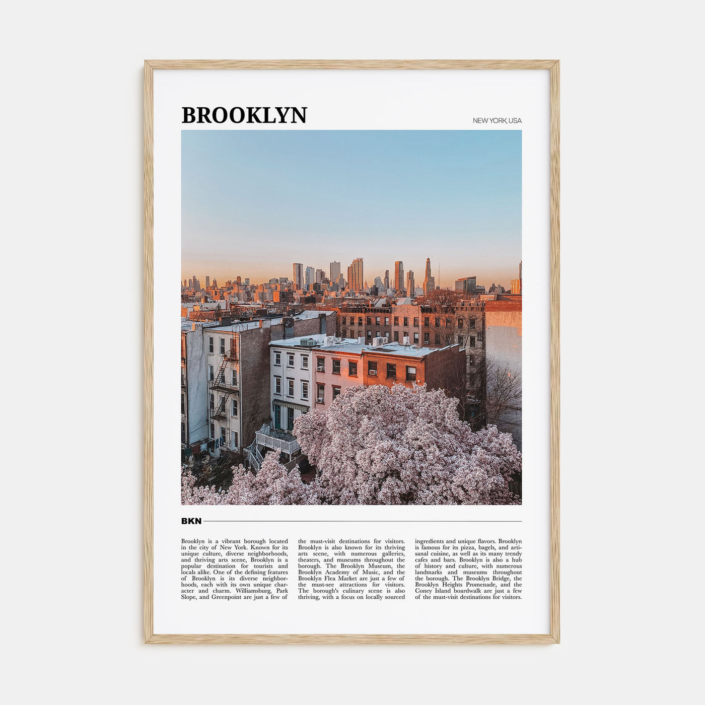Brooklyn Travel Color No 3 Poster