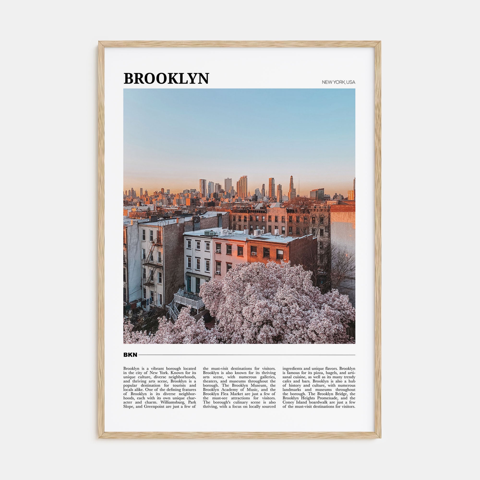Brooklyn Travel Color No 3 Poster