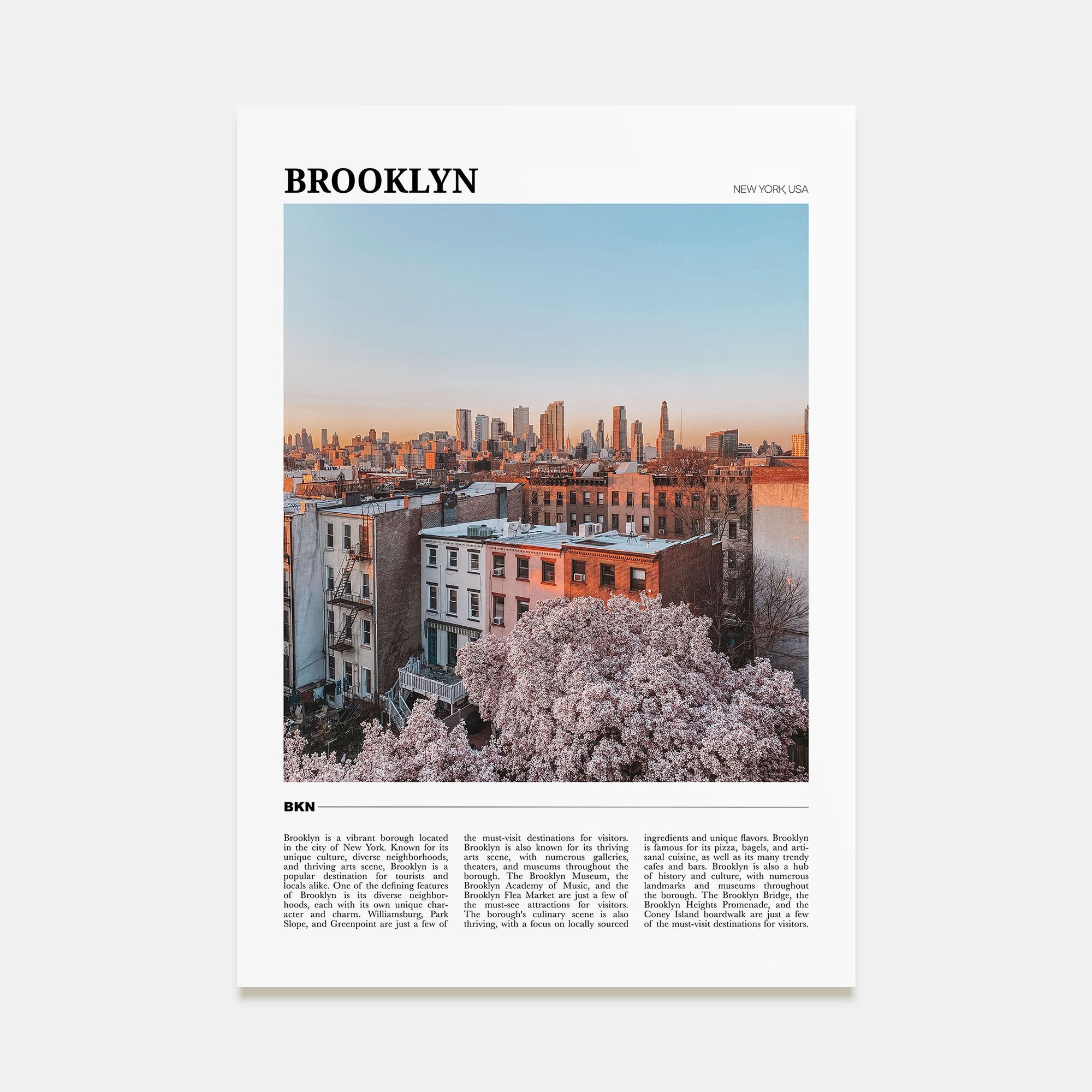 Brooklyn Travel Color No 3 Poster