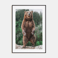 Brown Bear Photo Color No 1 Poster