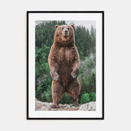 Brown Bear Photo Color No 1 Poster
