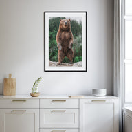 Brown Bear Photo Color No 1 Poster