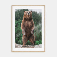 Brown Bear Photo Color No 1 Poster