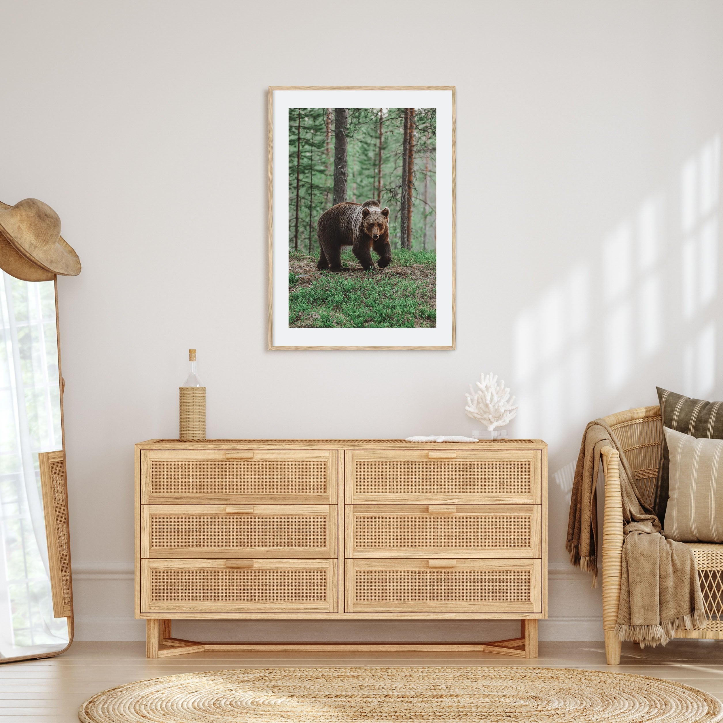 Brown Bear Photo Color No 2 Poster