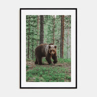 Brown Bear Photo Color No 2 Poster