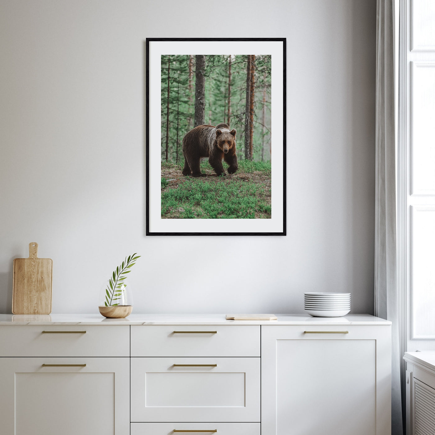 Brown Bear Photo Color No 2 Poster