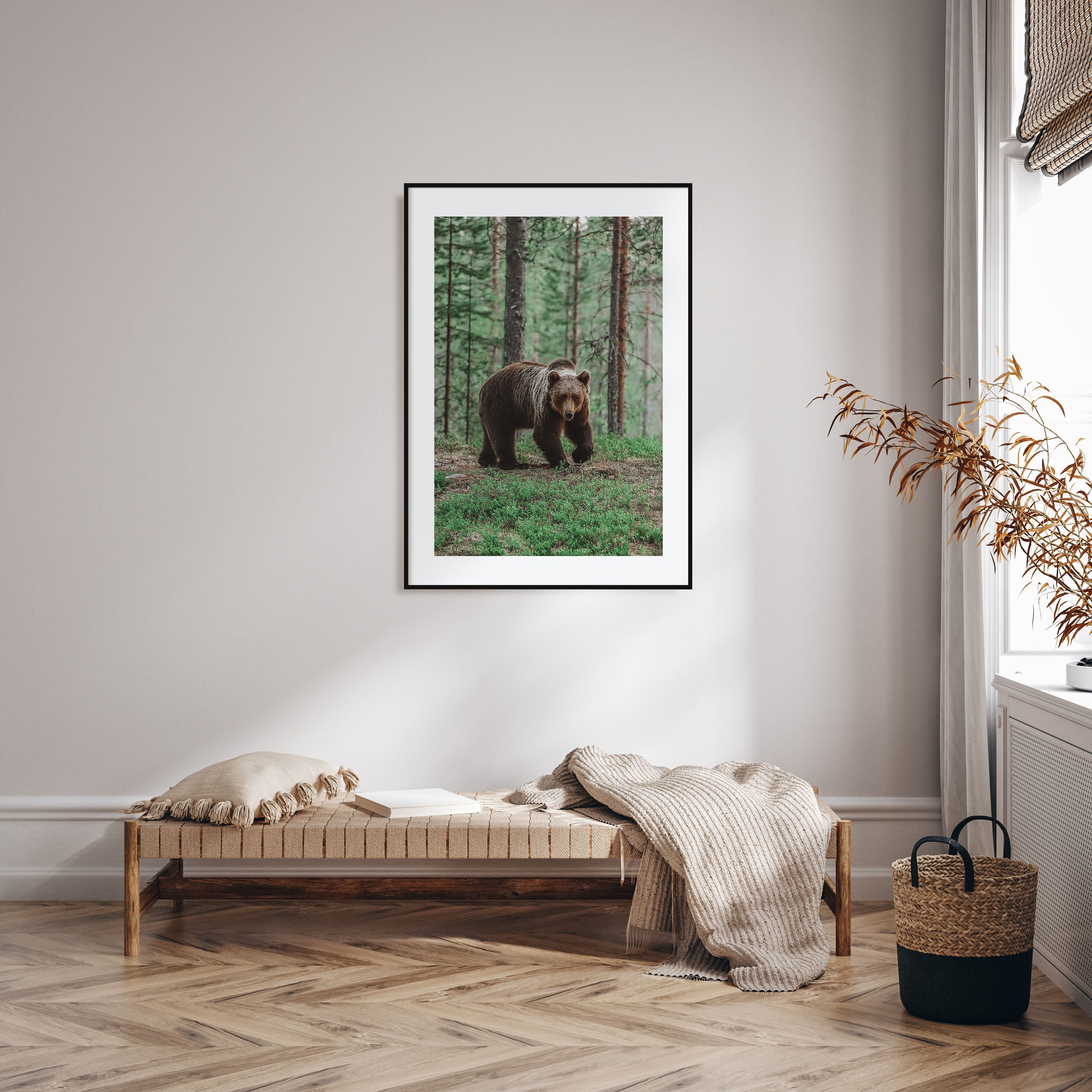 Brown Bear Photo Color No 2 Poster